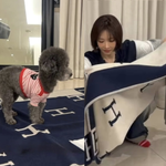 고준희, 강아지 패드로 250만원 <b>담요</b> 흔쾌히…“수건이라고 생각”