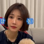 고준희, '에르메스 <b>담요</b>' 강아지 배변패드 됐다…"육아가 따로...