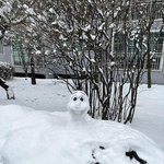 수상할 정도로 <b>눈사람</b>을 잘 깎는다는 연예인