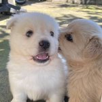 왕<b>씨</b>
