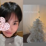 송혜교, <b>크리스마스</b>트리까지 이럴 일이야?…명품 G사 선물이라니