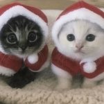 [댓글부탁해] 나 성형 안 했는데 했다고 <b>소문남</b>