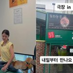 [댓글부탁해] 심은우, 학교폭력 의혹 부인→연극 활동 <b>재개</b> “내일...