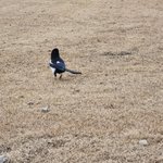 [하고싶은말] <b>요망</b>해