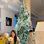 아들과 단 둘이...초대형 트리+<b>대궐</b>같은 집 ‘스케일이 다르다’