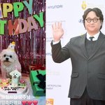 “꼬질꼬질 공주님” 구성환, 꽃분이 성대한 <b>생일파티</b>…케이크에 선물까지