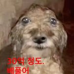 <b>크리스마스</b>인데 남친이랑