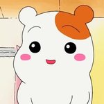 [하고싶은말] 여전히 알 수 없다.