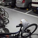 누가 내 <b>자전거</b>에 이런거를