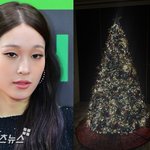 애니, 재벌 인증했다…"집 <b>천장</b> 서장훈보다 높아" 초대형 트리에...
