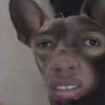 나 친구가 짜증나는 이유를 <b>깨달음</b>