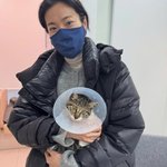 초토화 속…멤버 옥자연은 <b>유기묘</b> 구조 →입양 '선행' [해시태그]