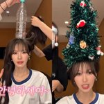 레드벨벳 <b>웬디</b>, 머리에 트리 세웠다 '깜짝'…크러쉬 조이 "아...