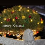 이채민류다인, <b>크리스마스</b> 데이트했나…트리 앞에서 인증샷