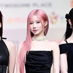 <b>베몬</b>이들 보고가