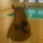 사회초년생 얘들아.. 알바할땐 꼭 <b>본사</b>있는대서 일해라