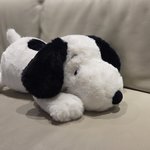 남편이 <b>스누피</b> 인형 들여왔는데 너무 귀엽다