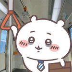 내 픽은 다 데뷔했다
