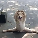 굿