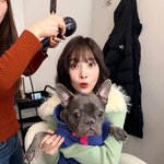 “밋<b>큐트</b> 겅듀님 하마”…크러쉬 조이, 겨울 설렘→반려견 품에 안긴...