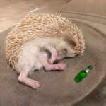 요즘 잘생긴게이 ㅈㄴ 많이보이네