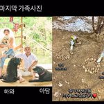 최여진, 결혼 6개월만 안타까운 소식 "이별 힘들어..가슴 후벼파"