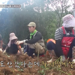 더덕 효능 묻다 어머니들에 '혼쭐' ('헬스<b>파머</b>') [순간포착]