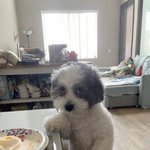 <b>아니</b>
