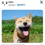 윈터 <b>열애</b>설 후 탈덕했다는 네임드 직직이