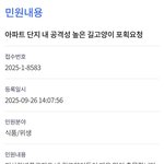 [어케생각해] <b>하남</b> 미사에 사람들 먼저 공격하는 고양이