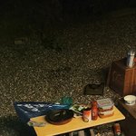 [댓글부탁해] 캠핑장에서 뭐 훔쳐먹으려다 걸려서 <b>스탭</b> 꼬인 고양이