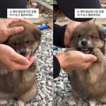 ‘이솔이’ 박성광, <b>AI</b> 아닌 실제 상황 공개..“필터 없는 힐링”