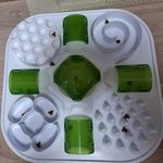 나의 동거묘 도칠이 2025년 <b>마무리</b> 선물