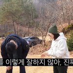 수드래곤이 죽다가 살아돌아온 과정.jpg