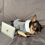 1<b>지망</b> 븉여줘 제발 ㅠㅠ