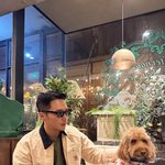 변요한, 티파니와 연말 데이트?…'<b>훈훈</b>美 가득' 남친짤 [해시태그]