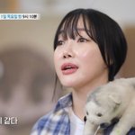 [추천선플만] 낸시랭, <b>사채</b> 빚 15억 떠안았다..오열 고백 "좀비떼처럼...