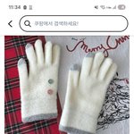 <b>장갑</b> 이거어때