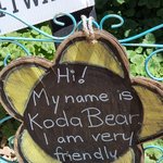 실시간 호쥬 가게에서 <b>강쥐</b>를 발견하엿다