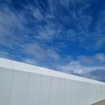 천국의 <b>다리</b> 건너는 중..ㅠㅠ