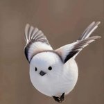 <b>올해</b>는 짝을 만나야 할텐데