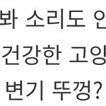 근데 고양이들 입<b>냄새</b>