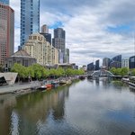 실시간 호쥬 <b>우동</b>집 찾아 삼만리