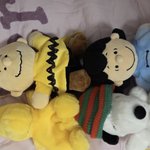 <b>요번</b>에 새로 들여온 반려 인형입니다..