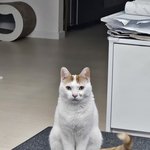 빵두 <b>형제</b>-54