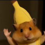 잘살길 <b>바보들</b>