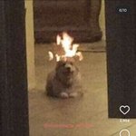 <b>불타</b>오른다