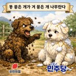 내가보는 정치.