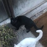 못생겼는데 짧은 똑<b>단발</b> 어울릴수있냐