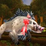 내 게임 <b>캐릭터</b>얌